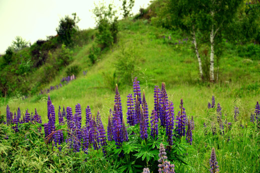 1215360 (a): :2560x1706